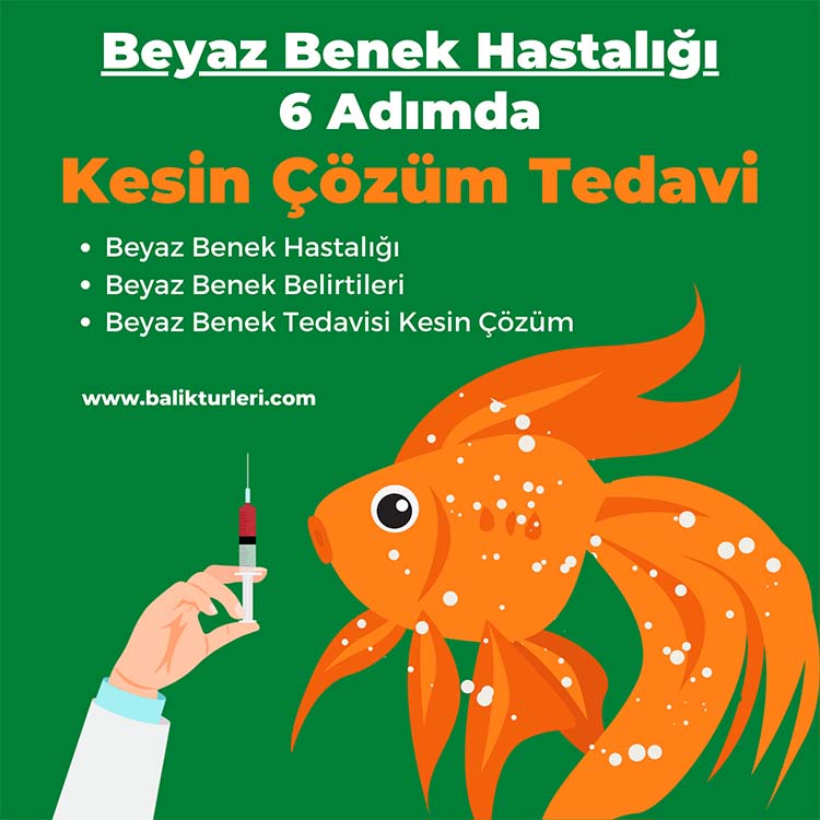 Beyaz Benek Hastalığı Tedavisi Kesin Cozum - Balikturleri.com