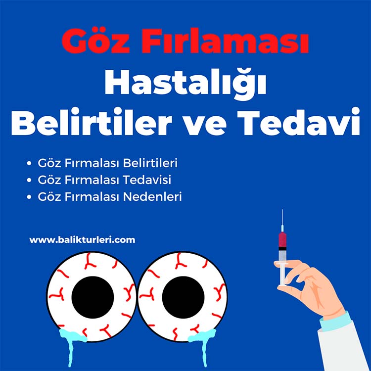 Göz fırlaması hastalığı tedavisi - Balıklarda göz şişmesi neden olur?