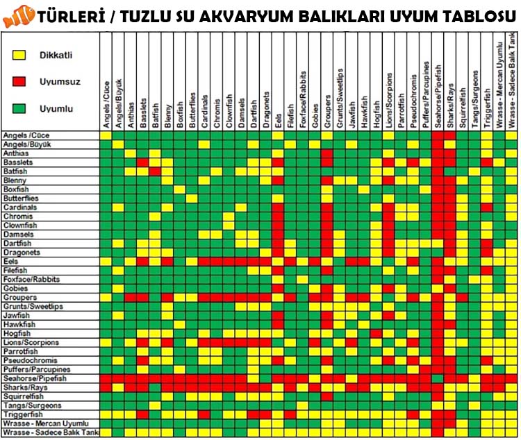 Deniz akvaryumu balıkları uyumluluk tablosu